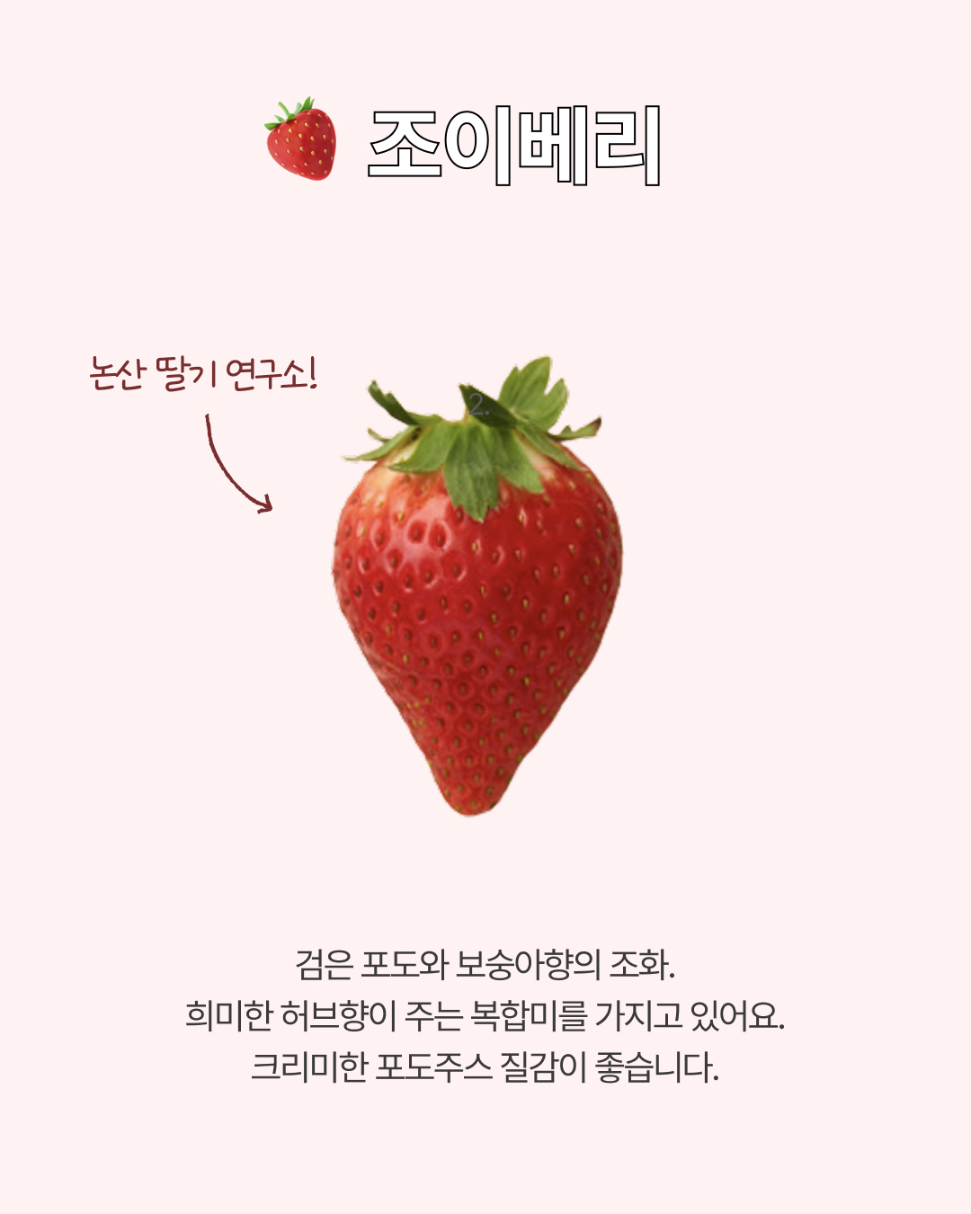 프리미엄 딸기(금실/비타베리/신품종)
