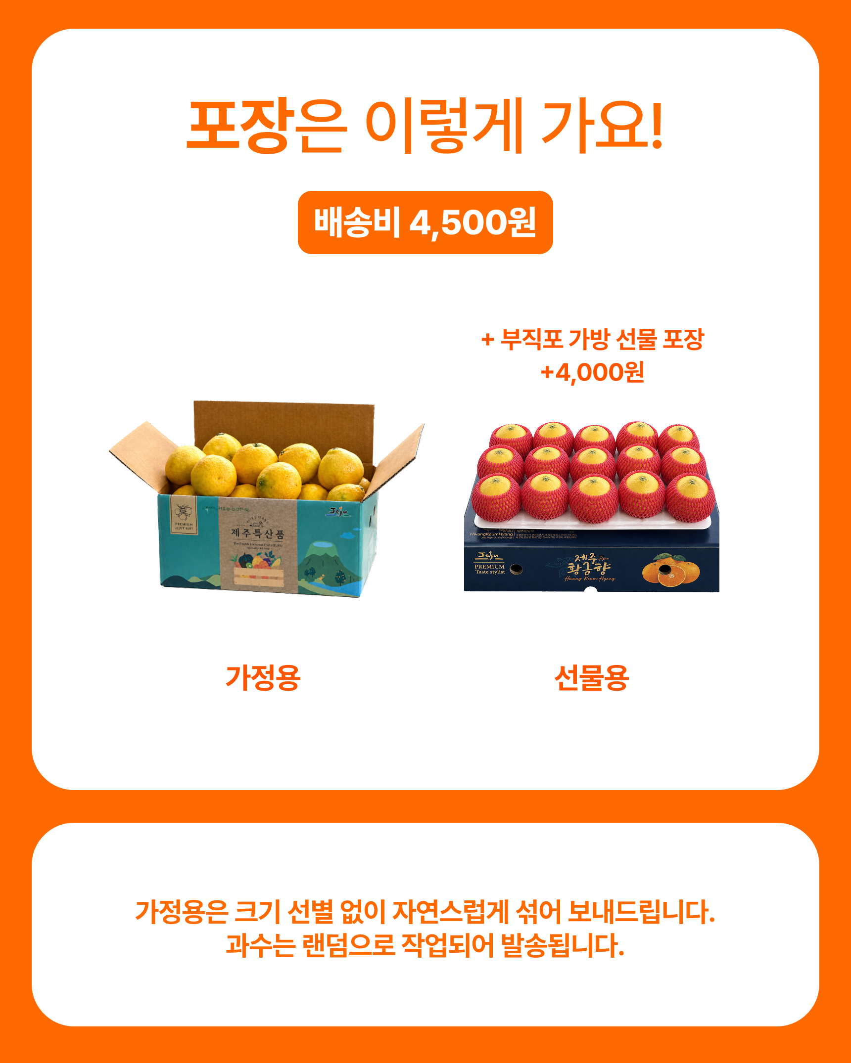 프리미엄 황금향