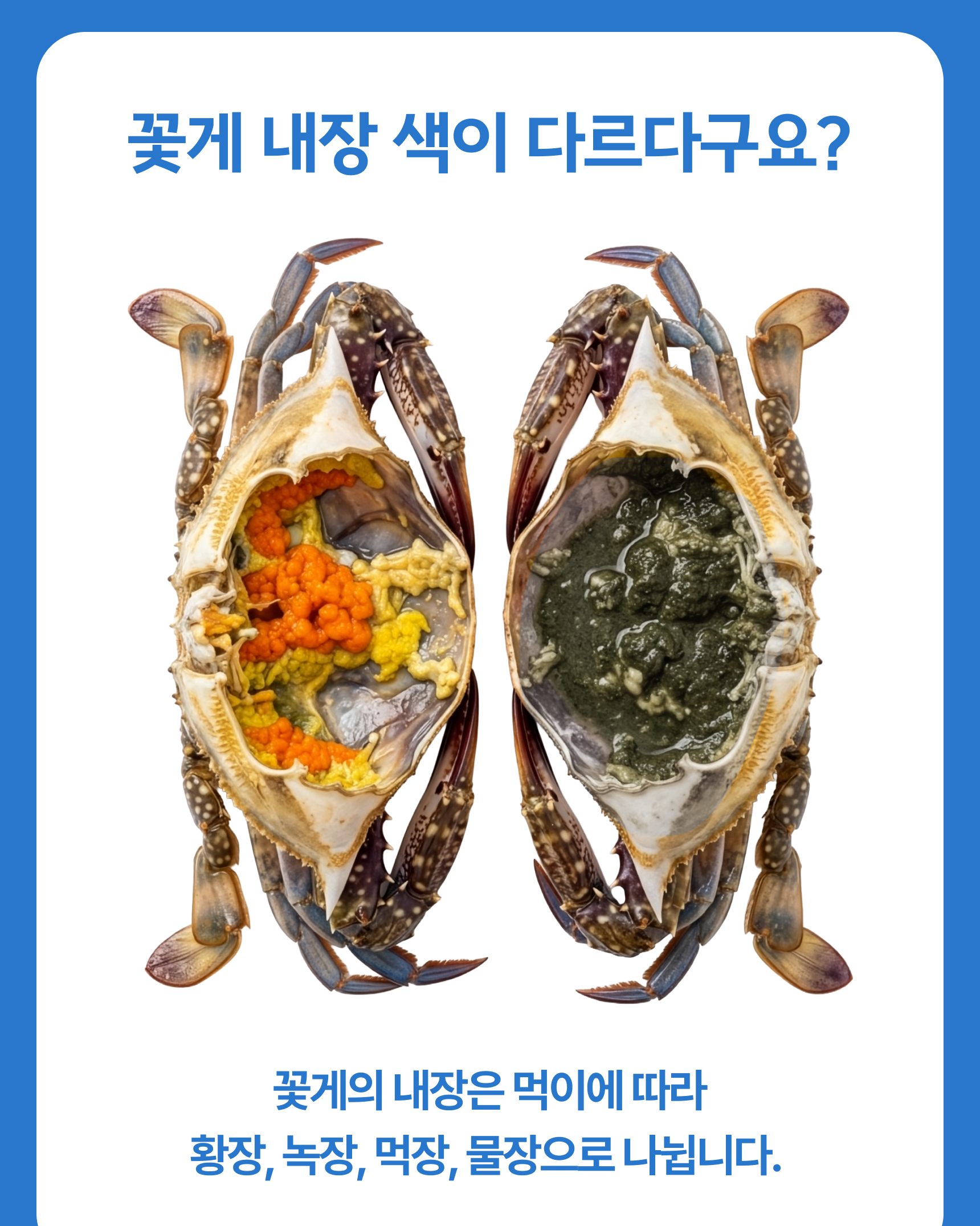 슬기님 테스트용 꽃게
