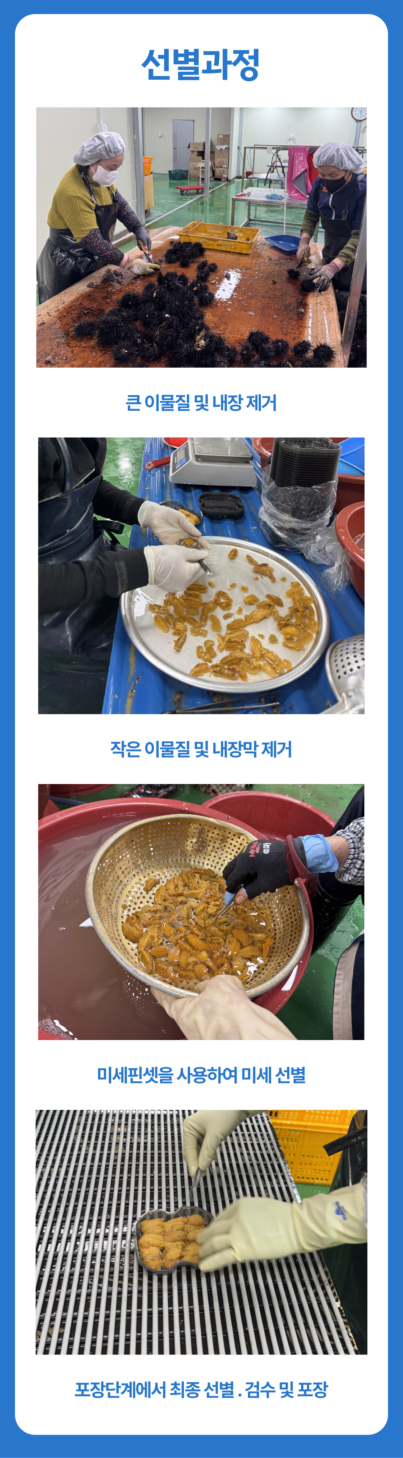 프리미엄 우니