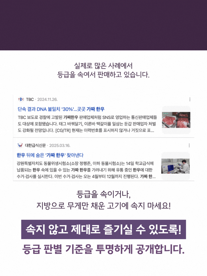 투쁠한우 넘버9 소프라이즈 세트[얼리버드]