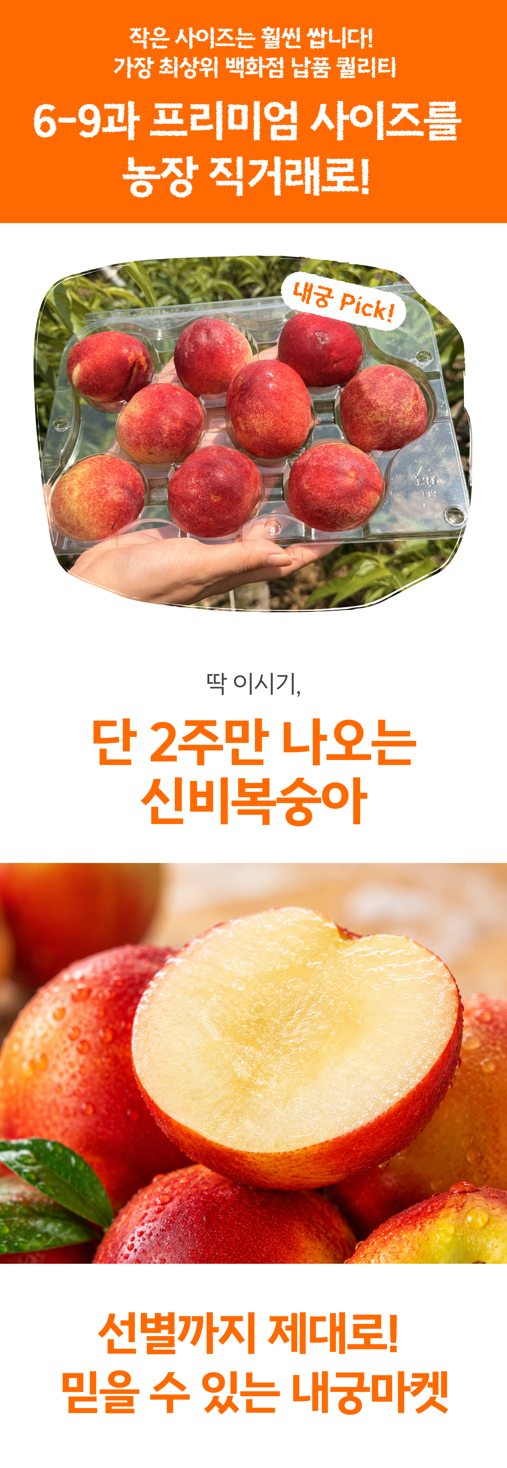 슬기님 테스트용 실비복숭아