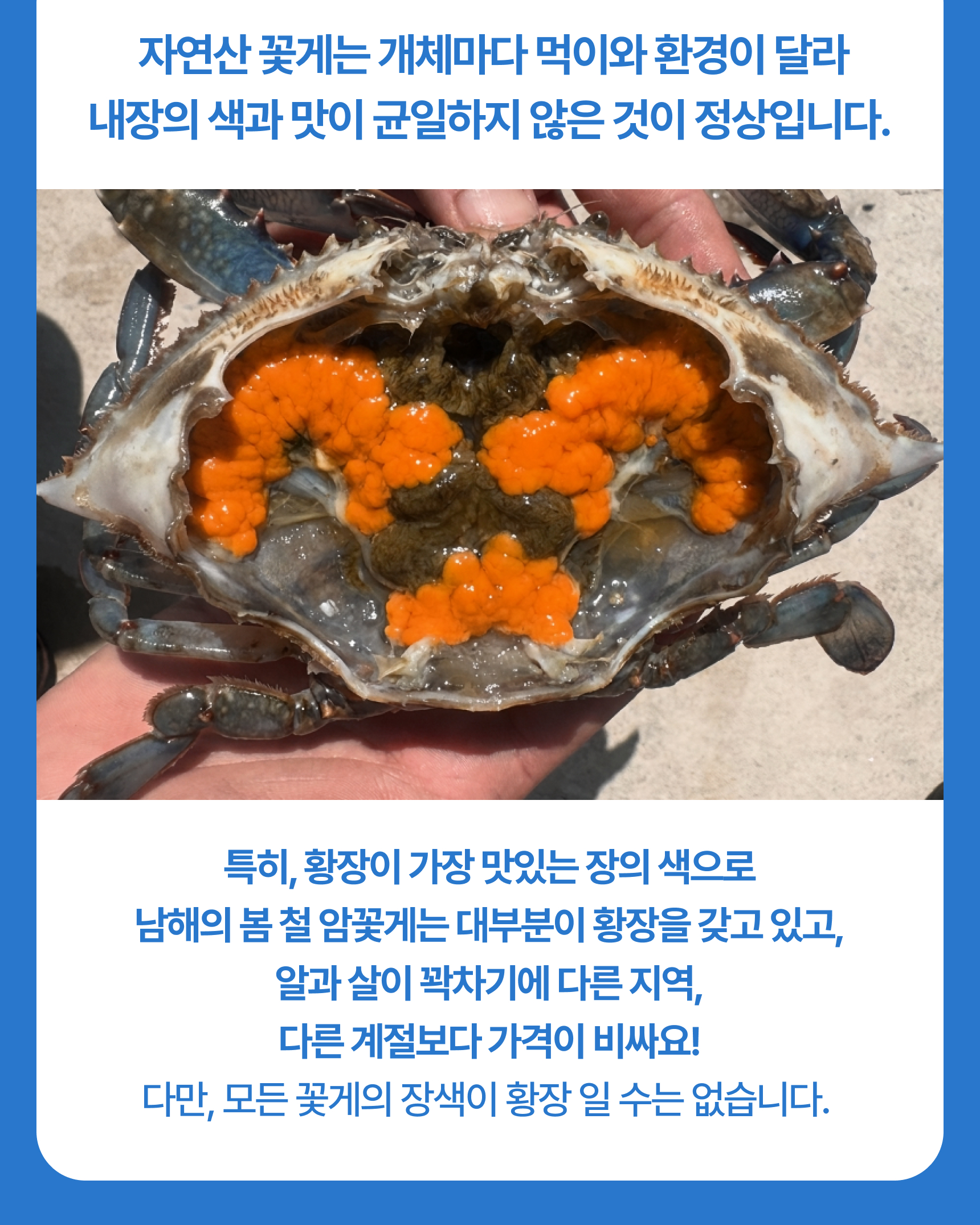 프리미엄 활 암꽃게(1kg)