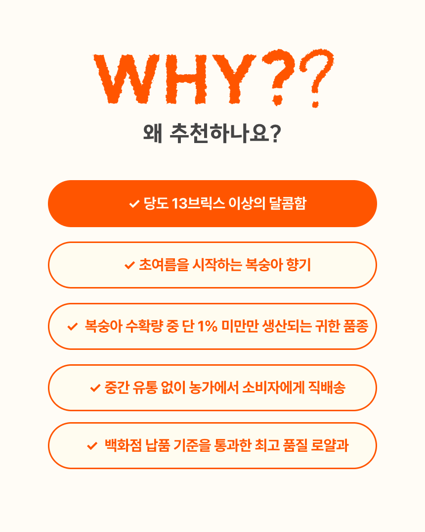 슬기님 테스트용 실비복숭아