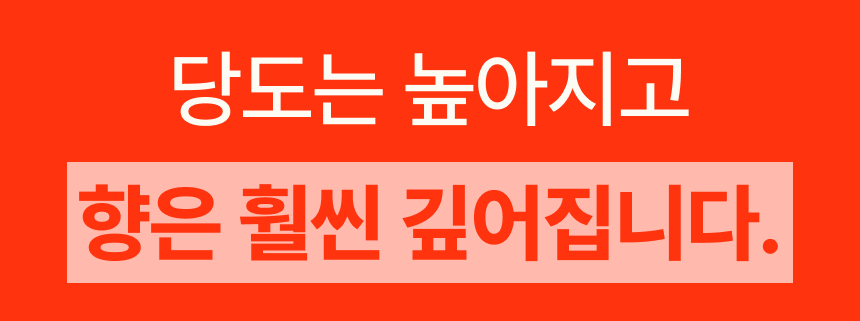 프리미엄 딸기(금실/비타베리/신품종)