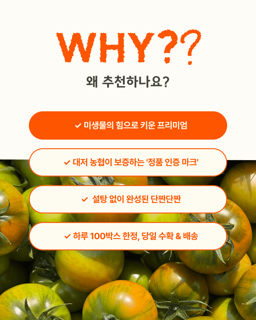 대저토마토(프리미엄) 2.5kg