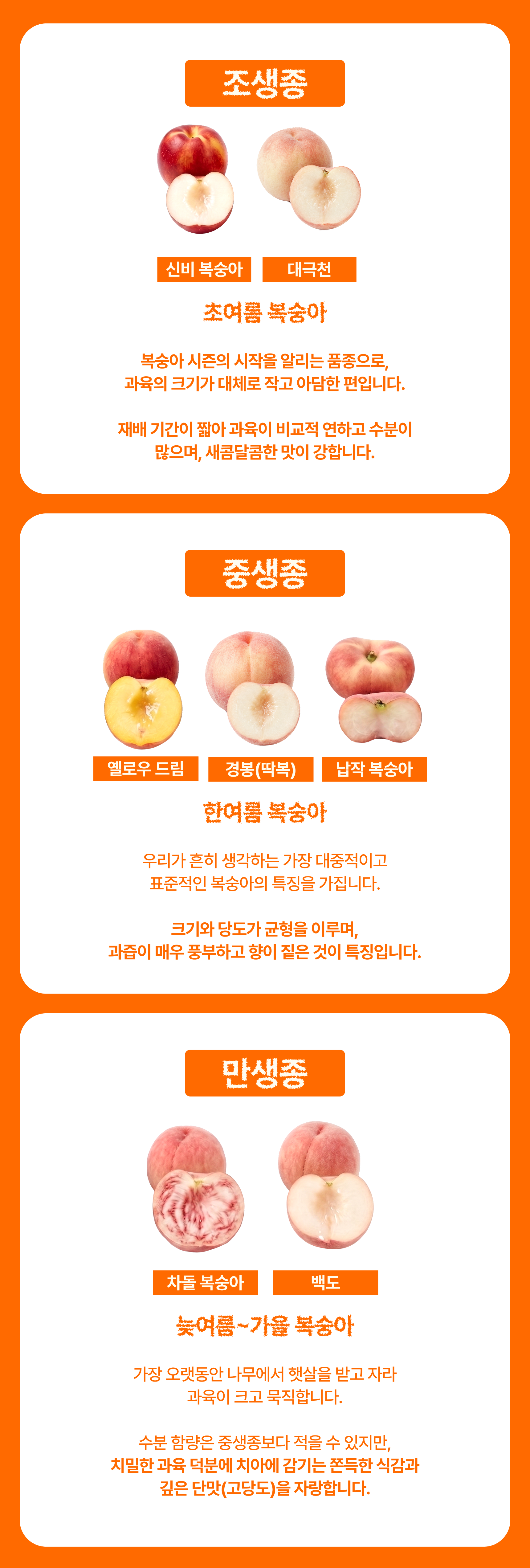 신비복숭아 준비