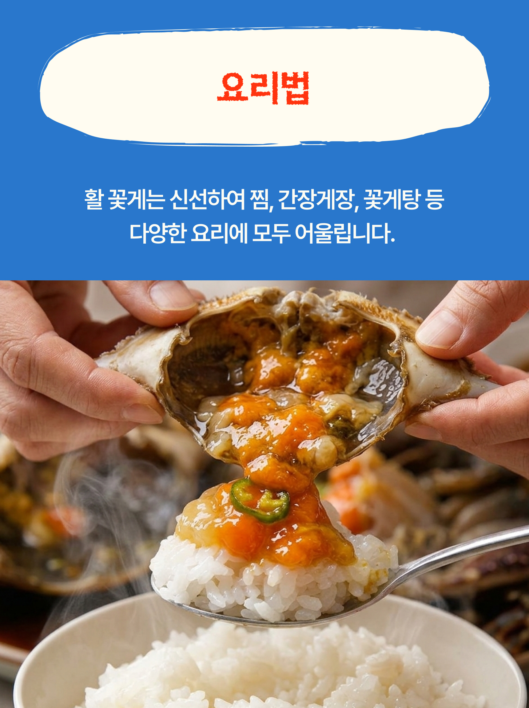 슬기님 테스트용 꽃게