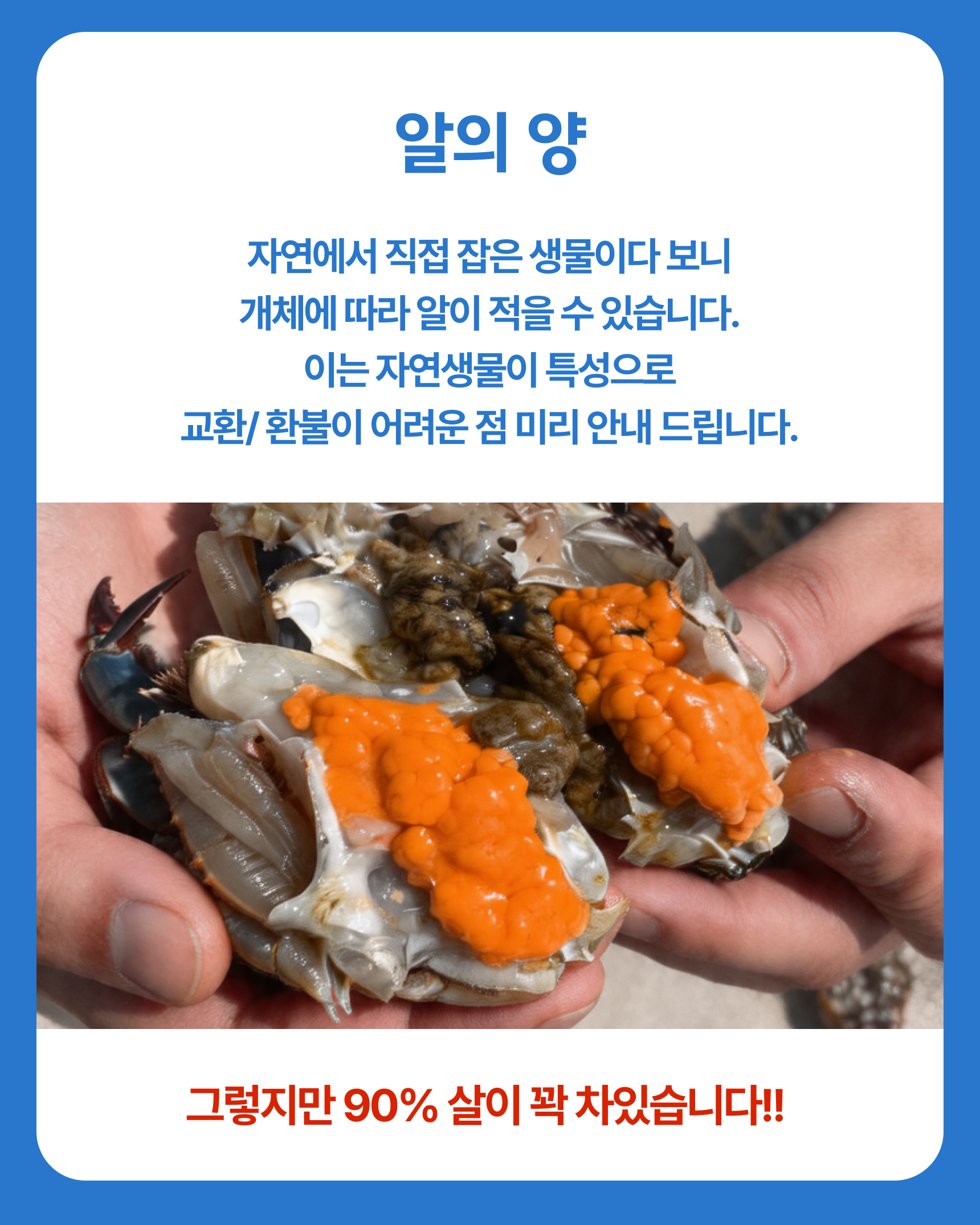 프리미엄 활 암꽃게(1kg)