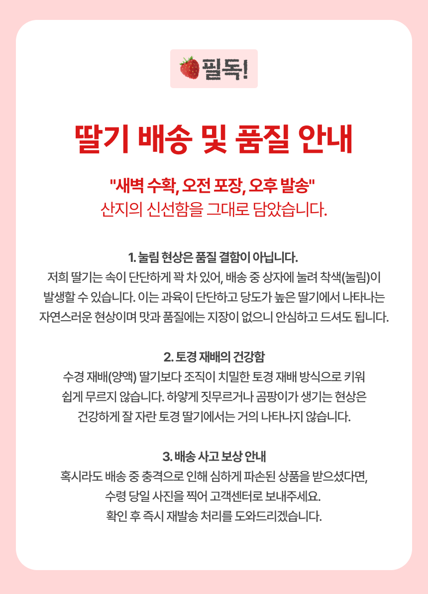 프리미엄 딸기(금실/비타베리/신품종)