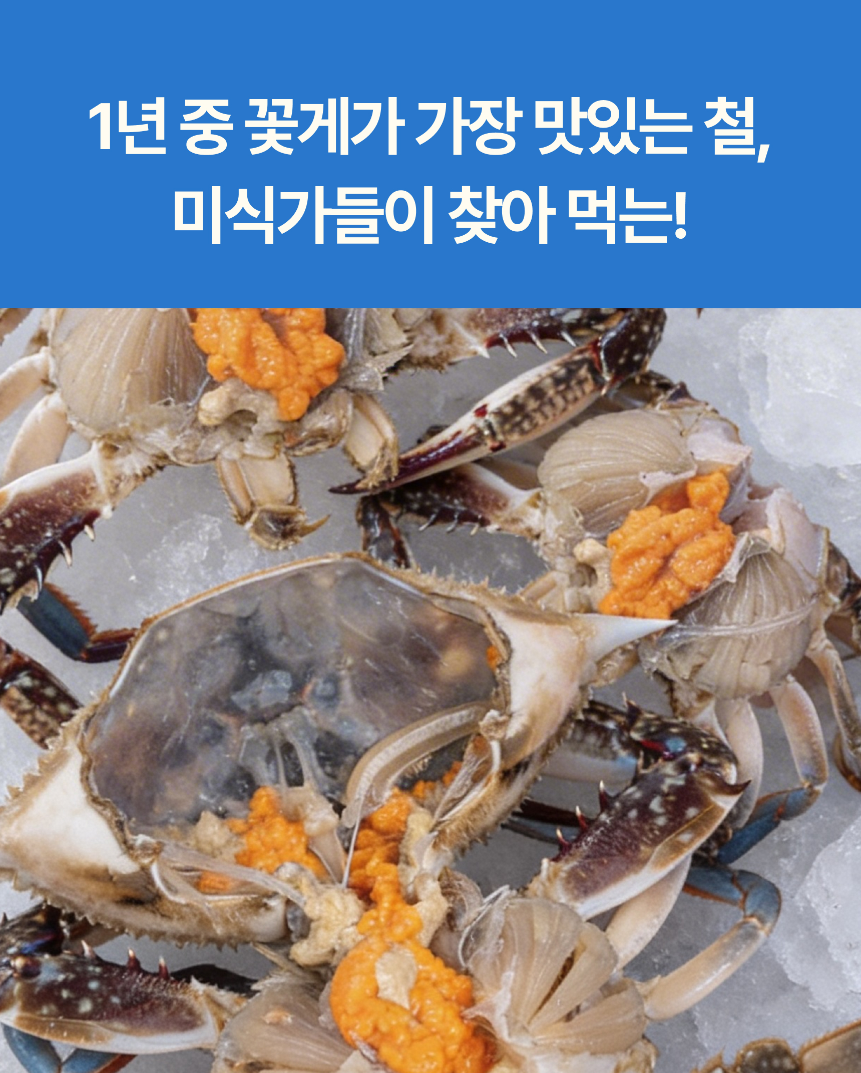 프리미엄 활 암꽃게(1kg)
