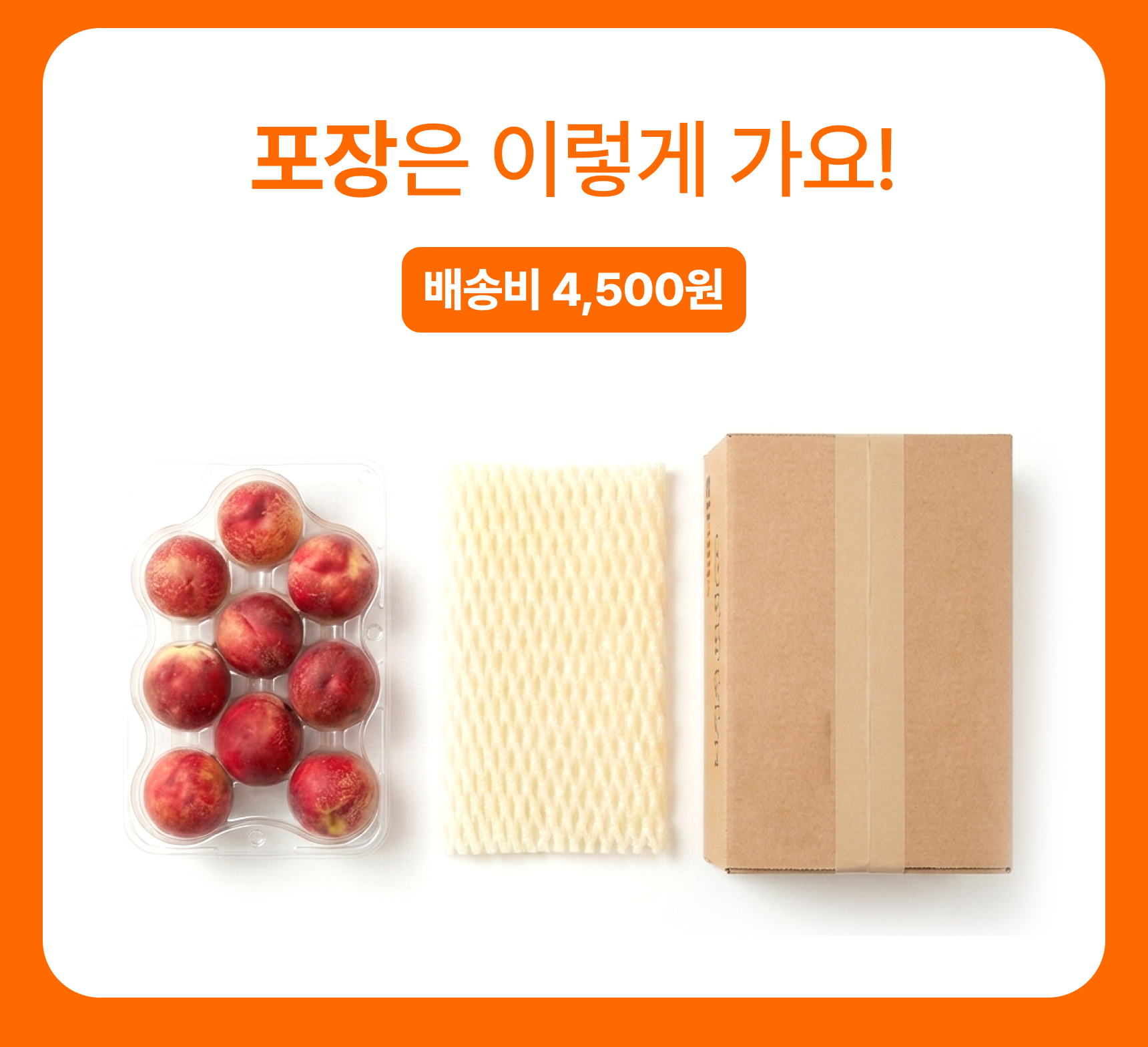 슬기님 테스트용 실비복숭아
