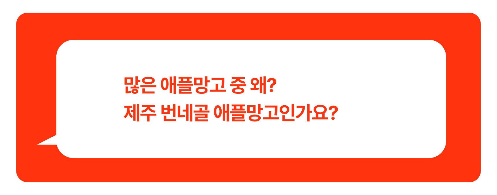 프리미엄 꼬마 애플망고