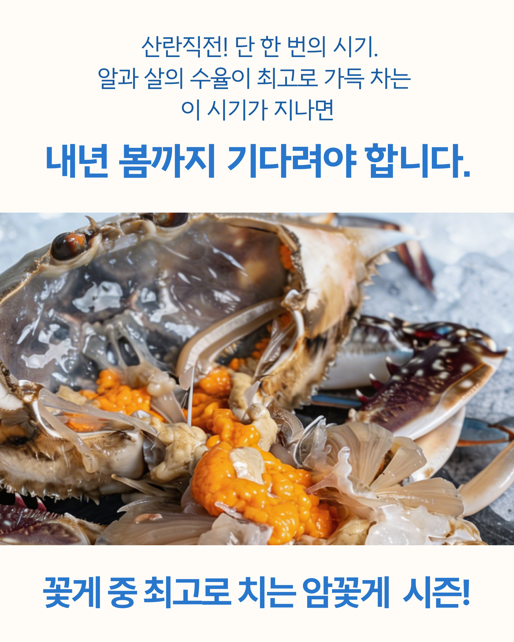 슬기님 테스트용 꽃게