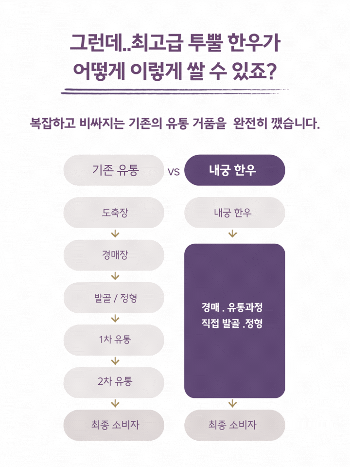 투쁠한우 넘버9 소프라이즈 세트[얼리버드]