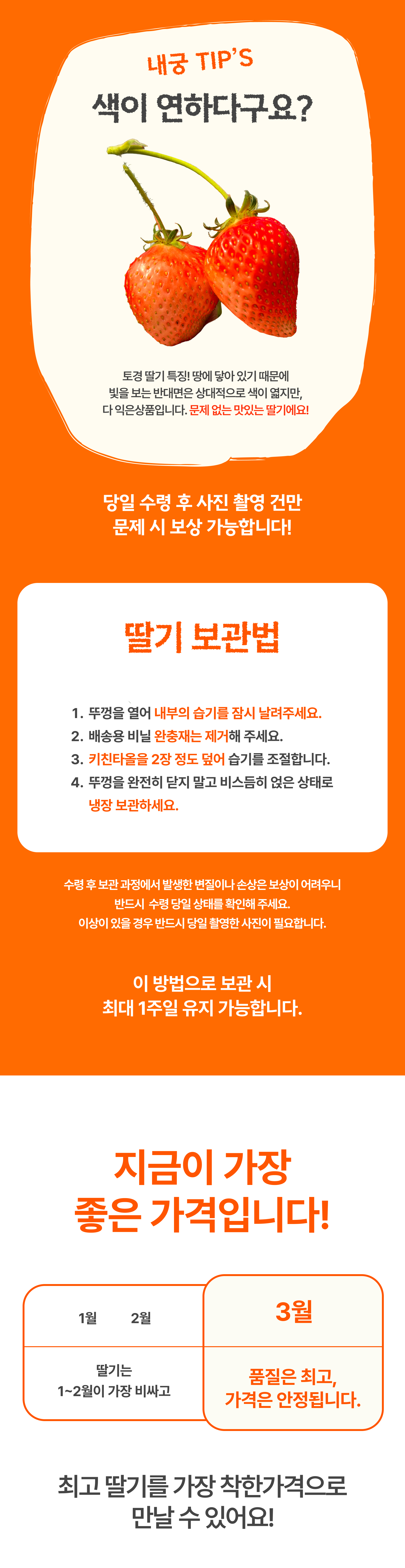 프리미엄 딸기(금실/비타베리/신품종)