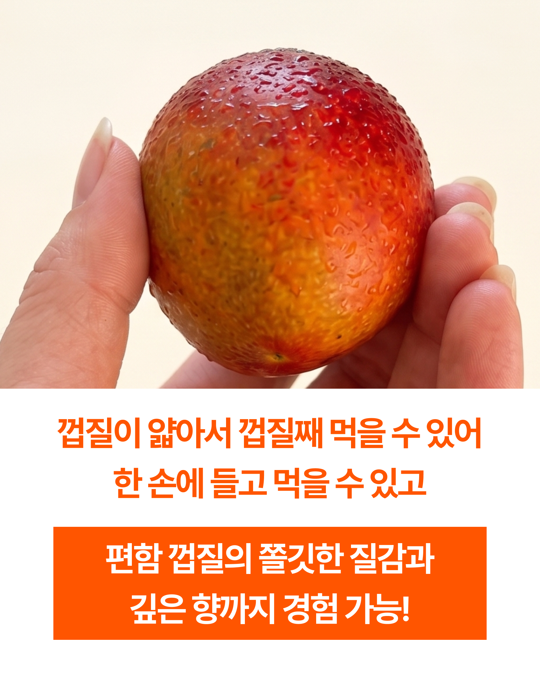 프리미엄 꼬마 애플망고