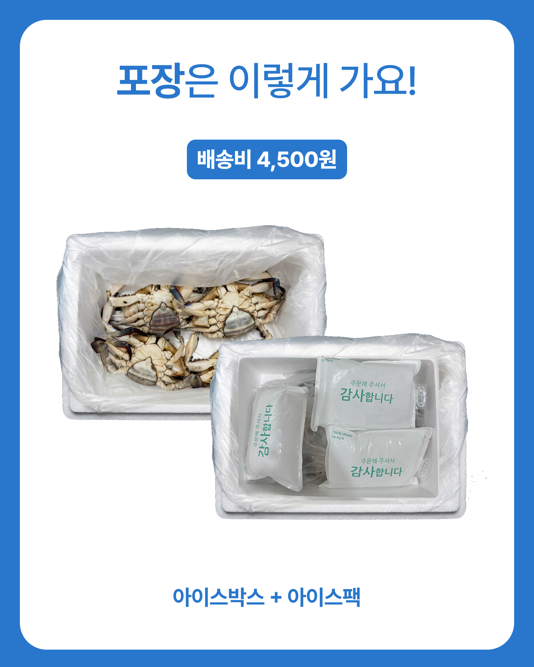 슬기님 테스트용 꽃게