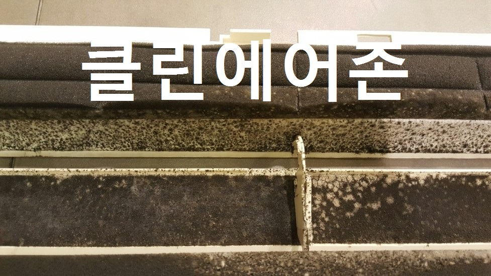 익산옷가게2.jpg