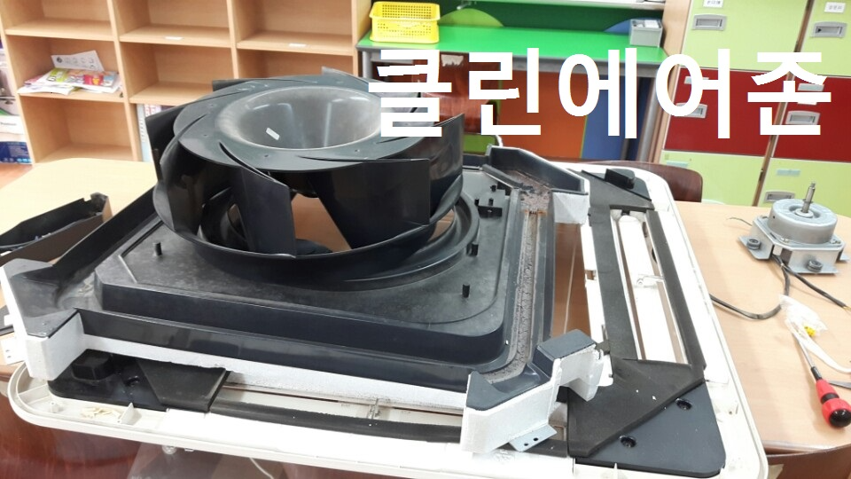 불로초11.jpg