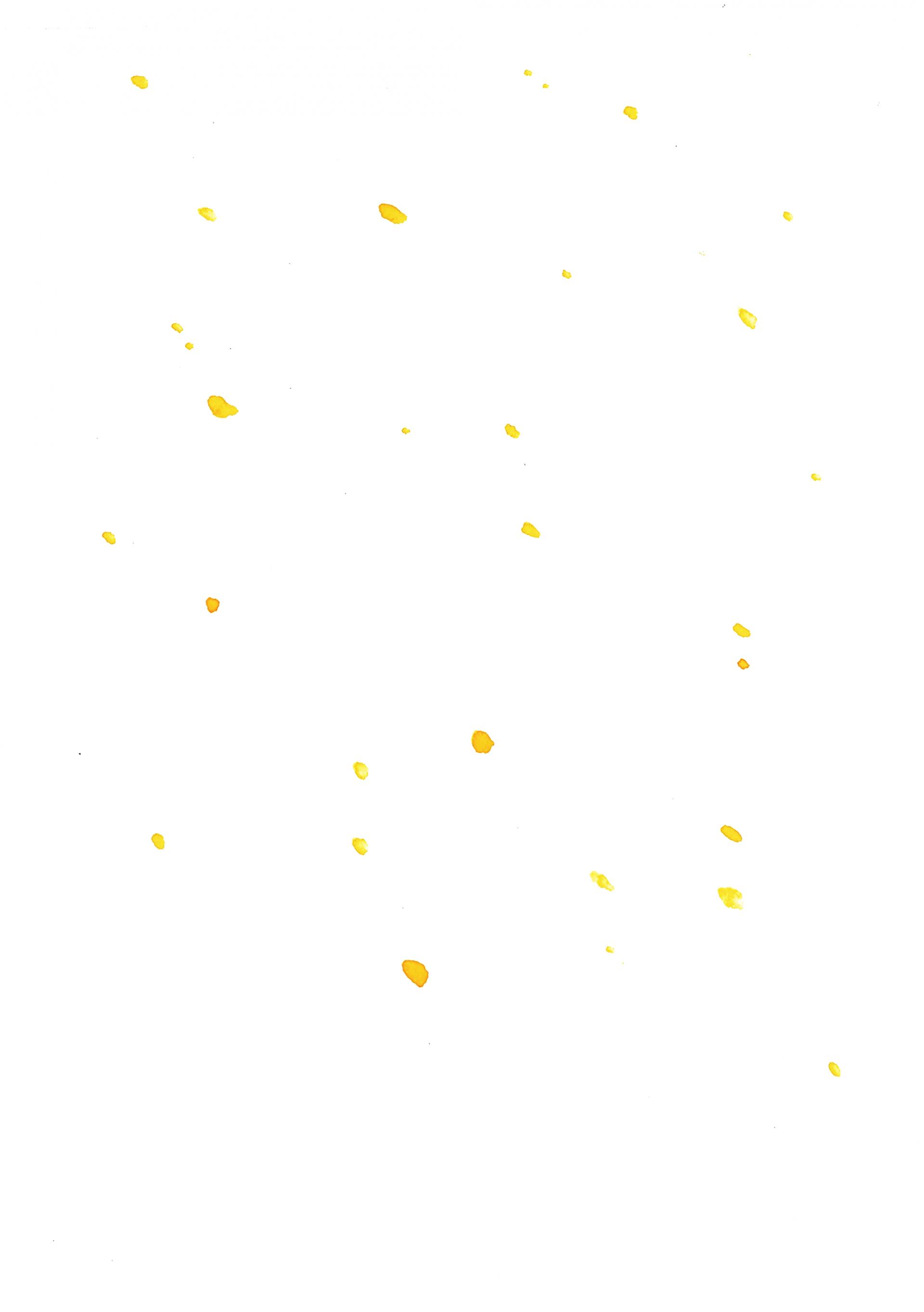 7acaad3e09c48.jpg