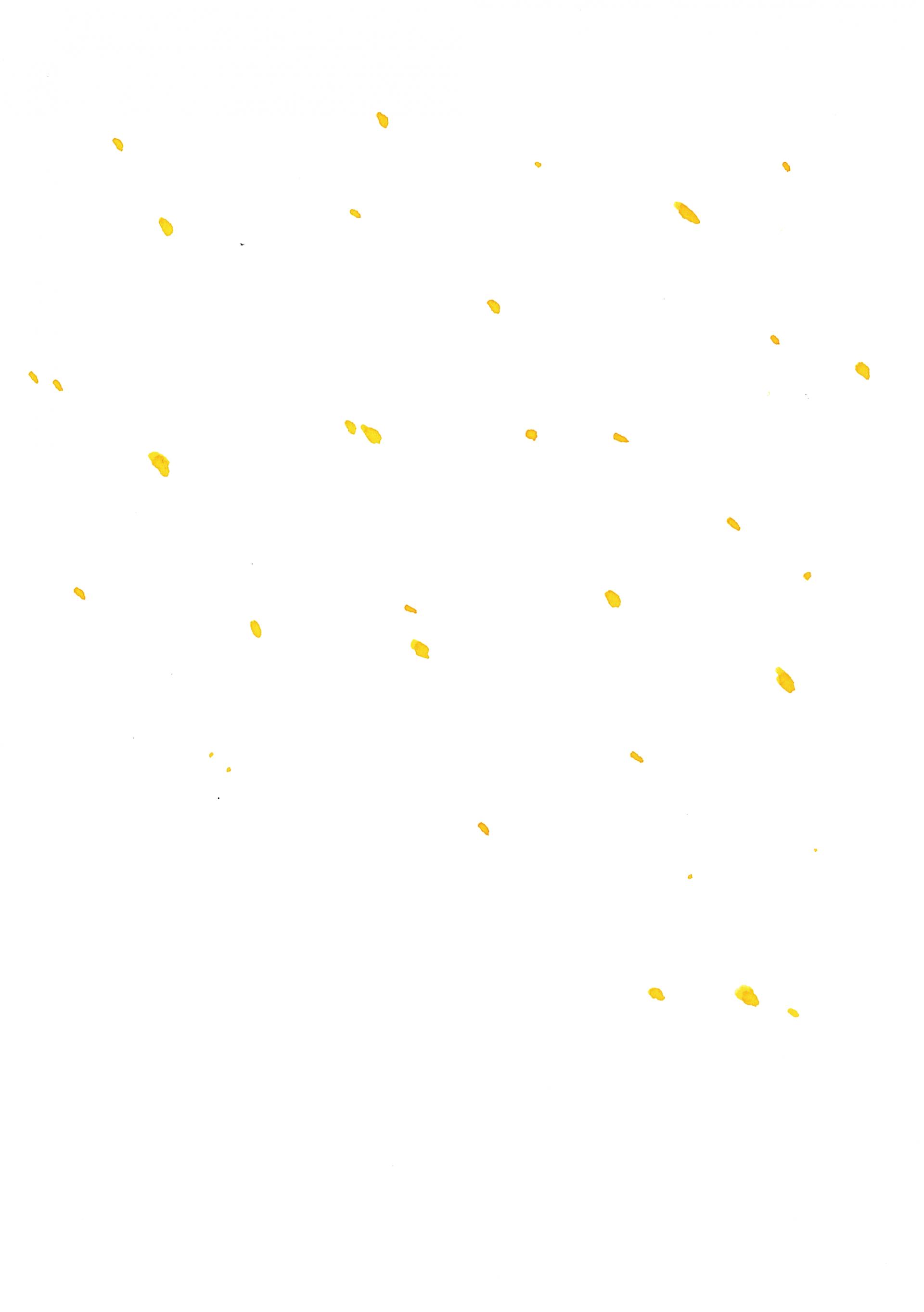 9235f5ba7ae14.jpg