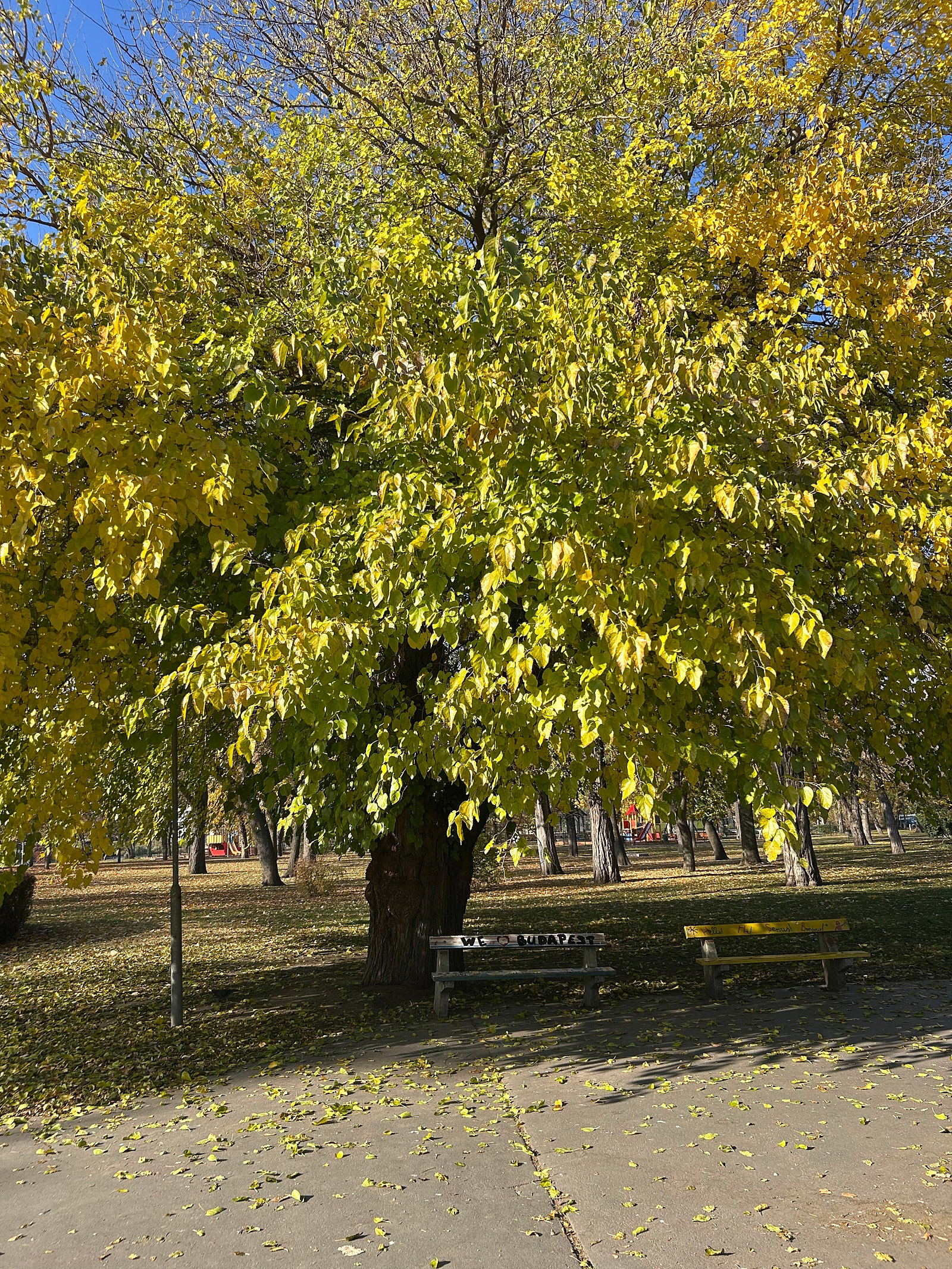 828b0bea18d01.jpg