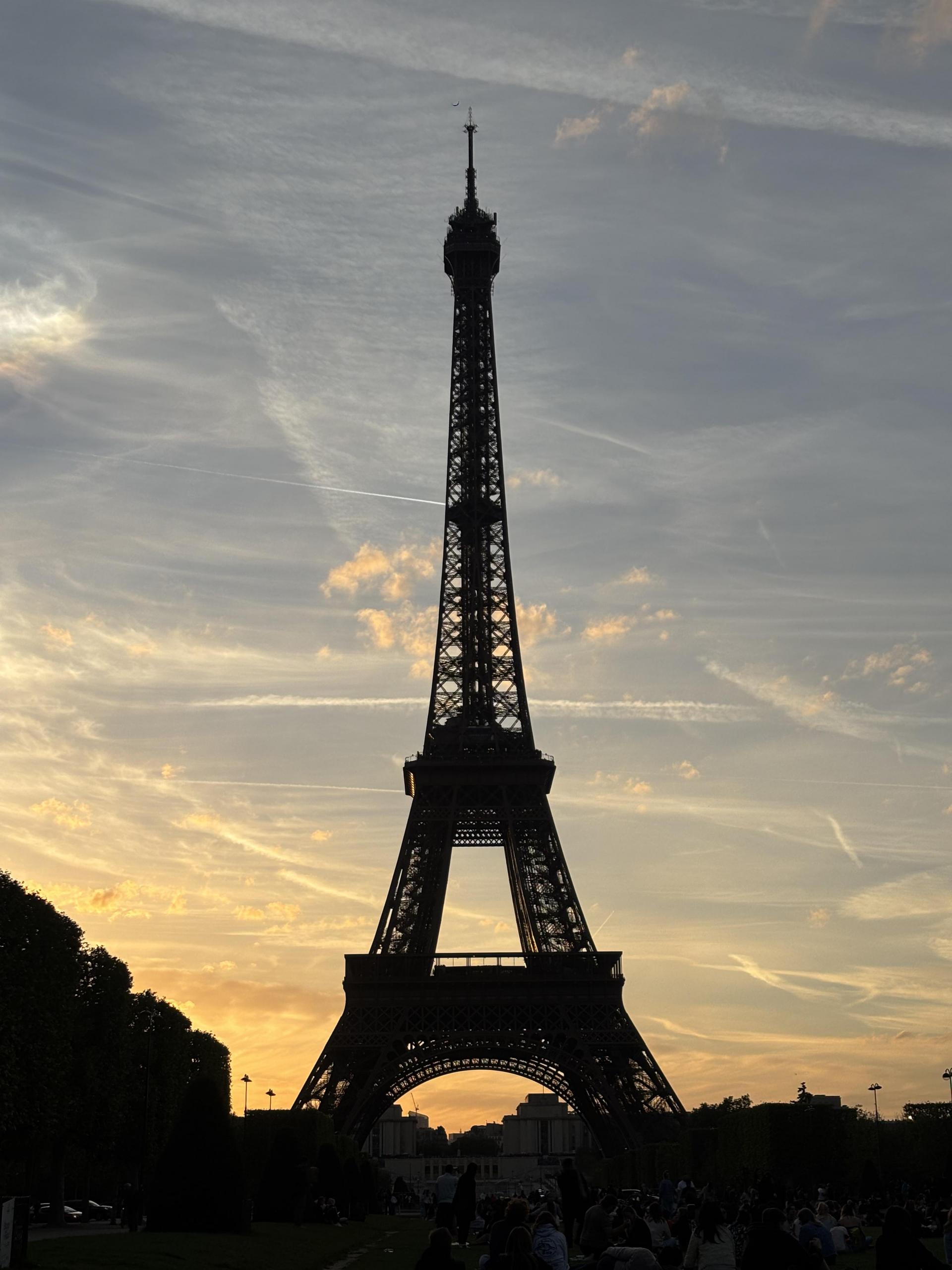 d03c3d8080e73.jpg