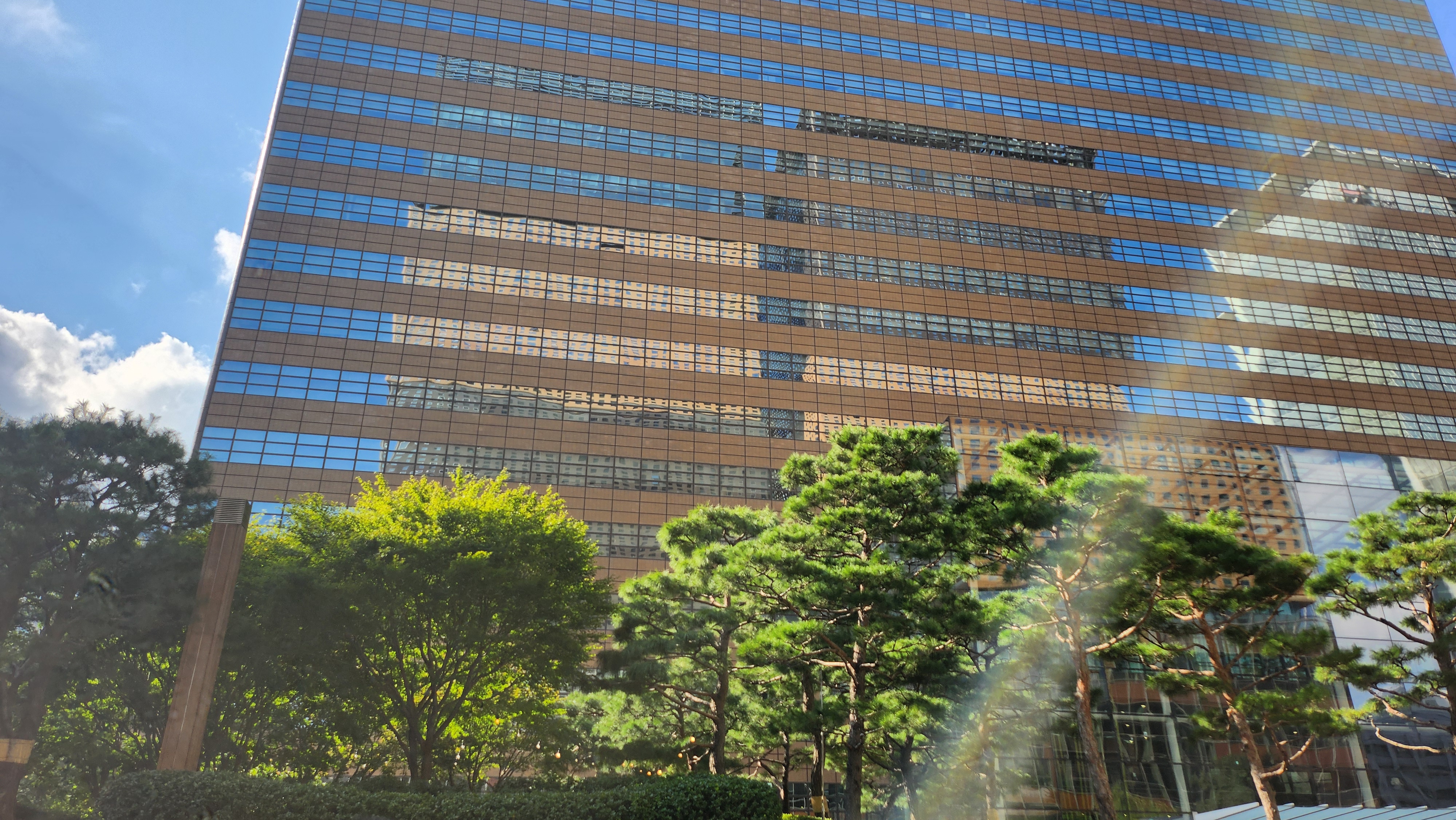 58176b2b64245.jpeg