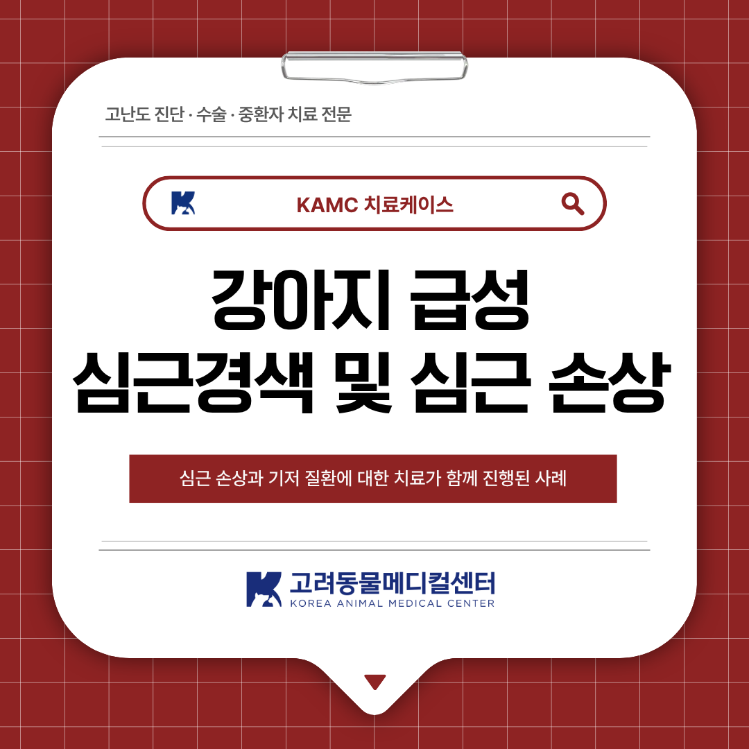 1ea1f61ed8669.png