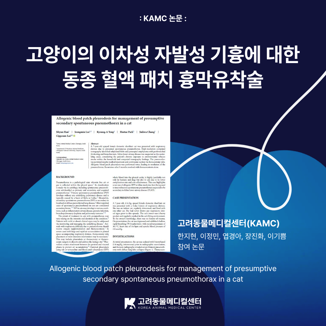 217635a603b44.png