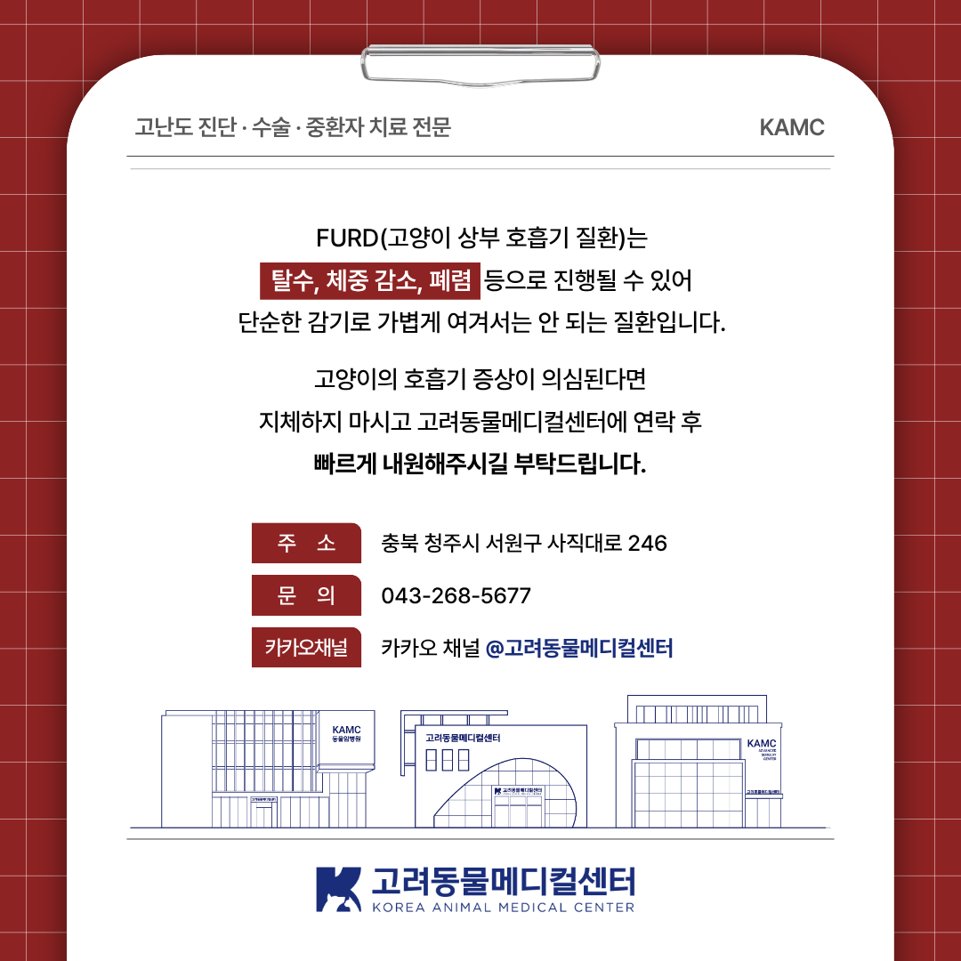 2e6dce025807c.png