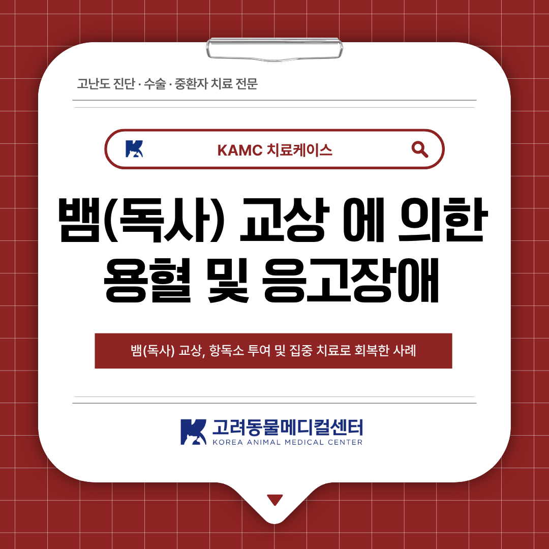 4a9a93a593af1.png