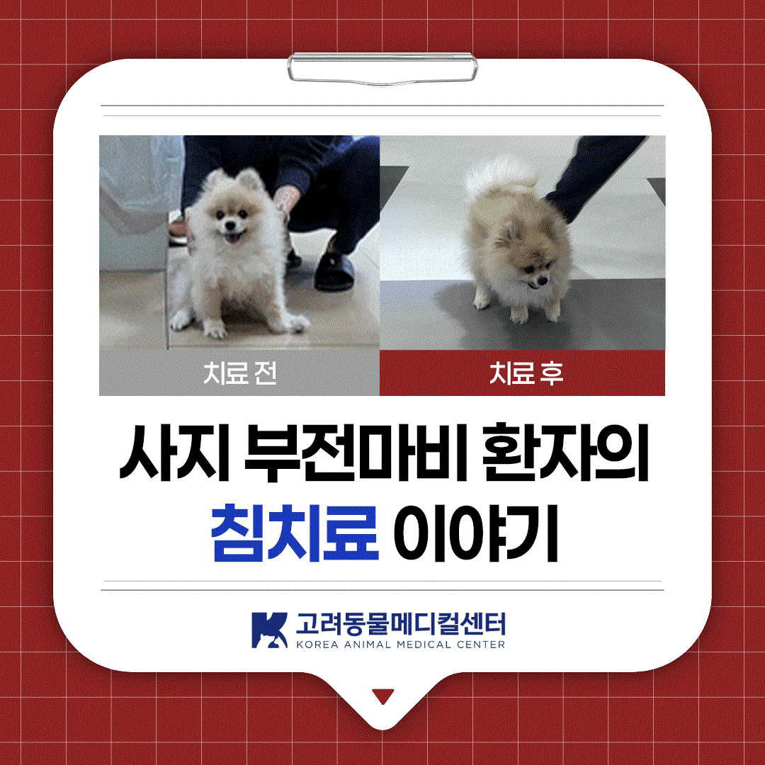 50597e3895a45.gif