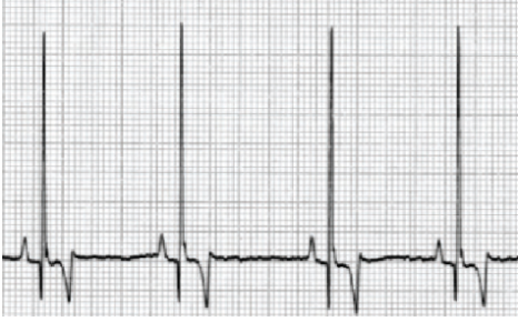 807d5e561ab39.png