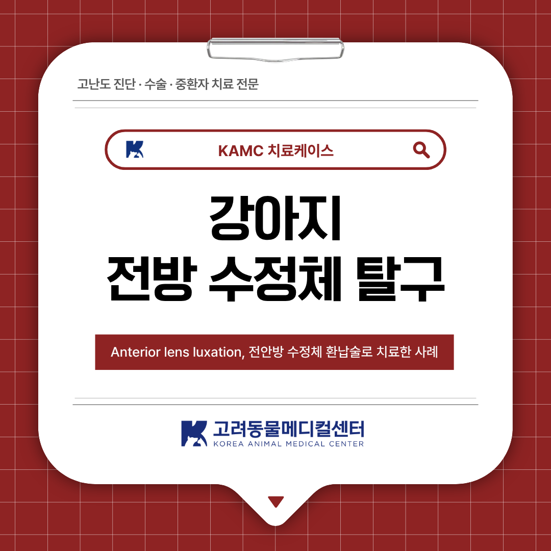 839a1a6a74ef8.png