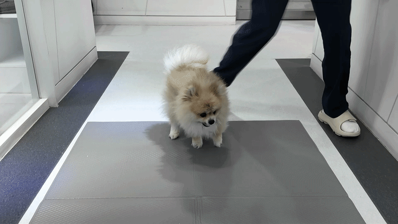 8a75026646f12.gif