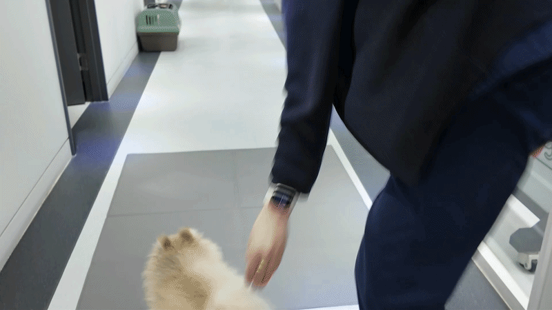 90e10b7c79be1.gif