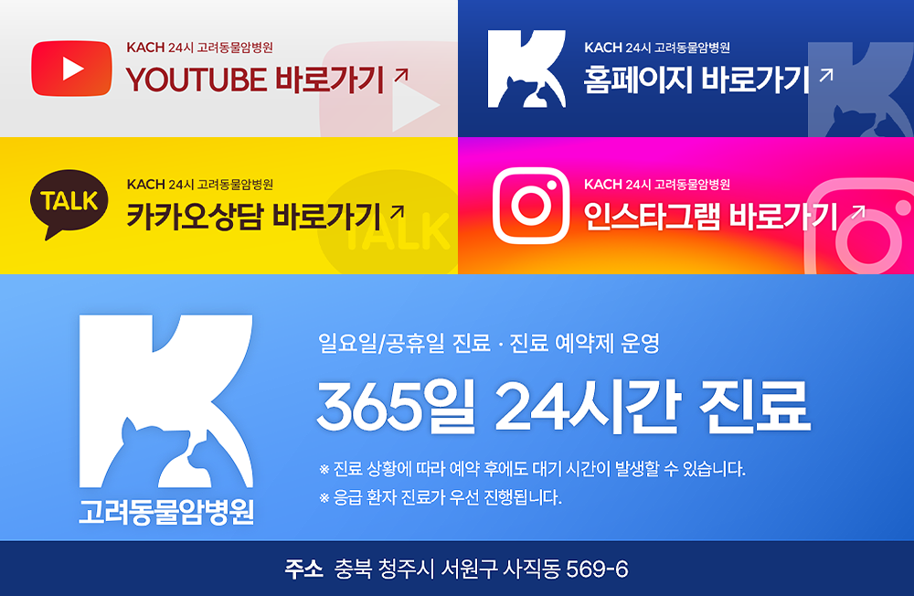 a399a42887f8d.png