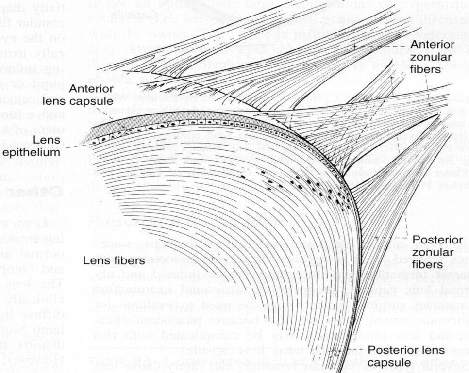 af8cbedcd9ed5.jpg