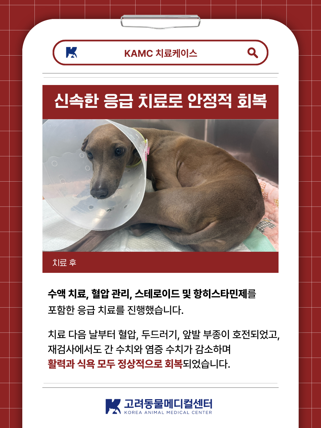 b639791c4392a.png