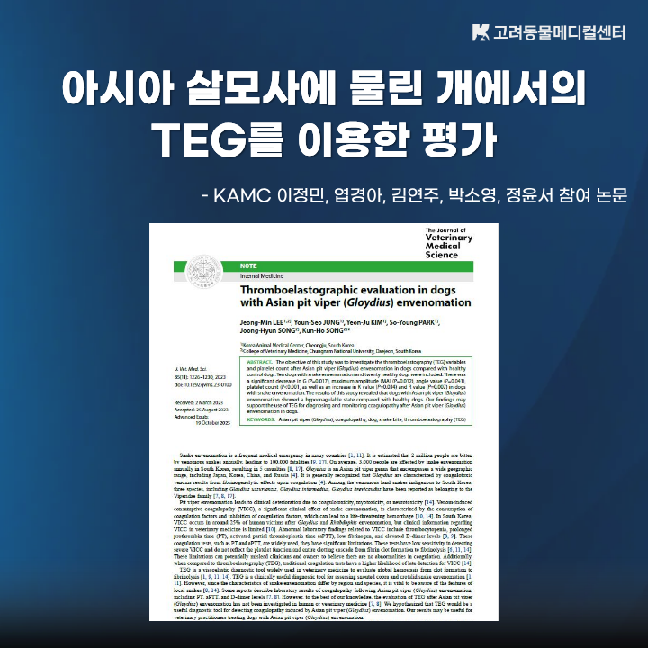 ea179276ef60c.png