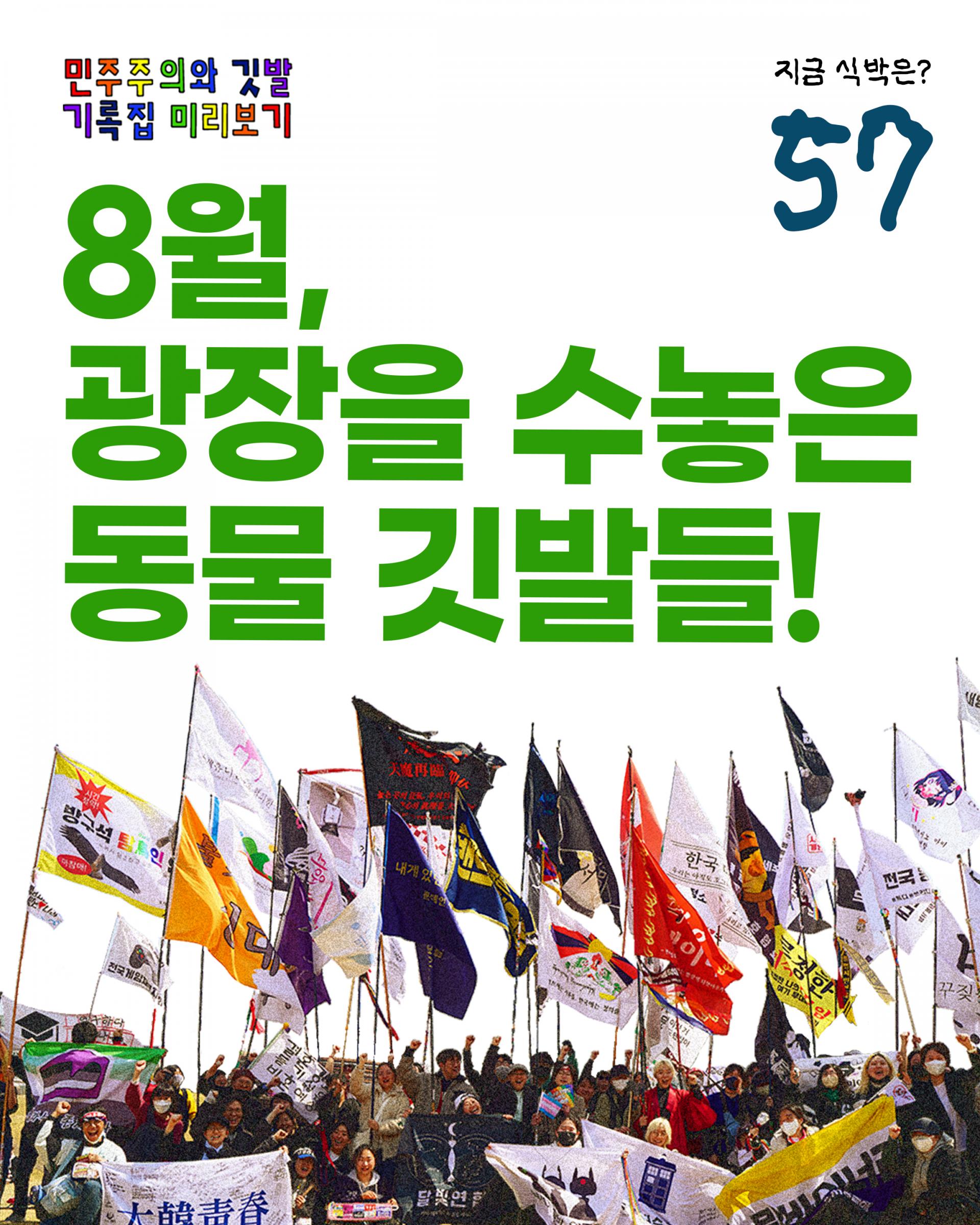 06e93142ccbeb.jpg