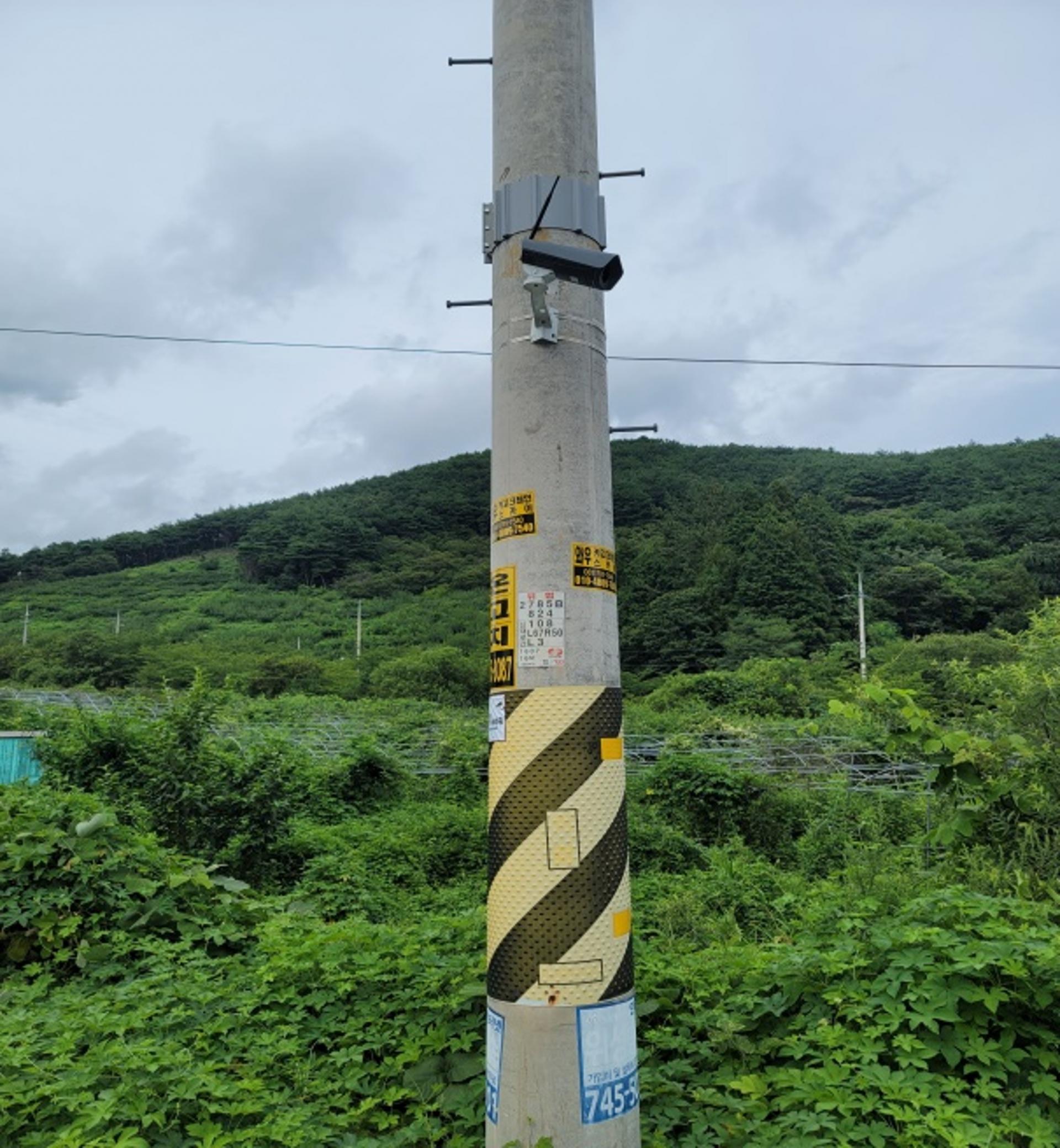 f50460d6bfd71.jpg