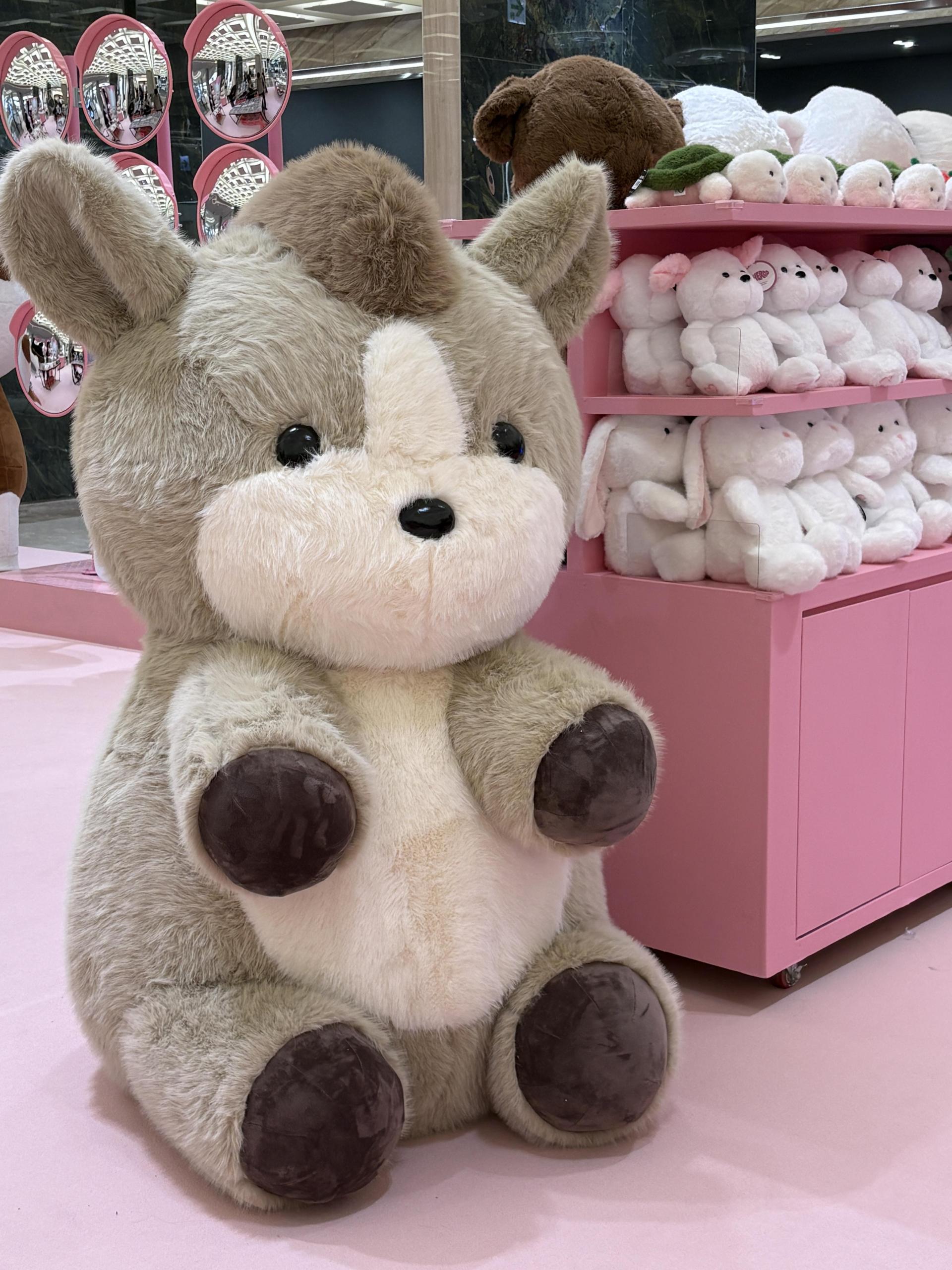 몽모월드