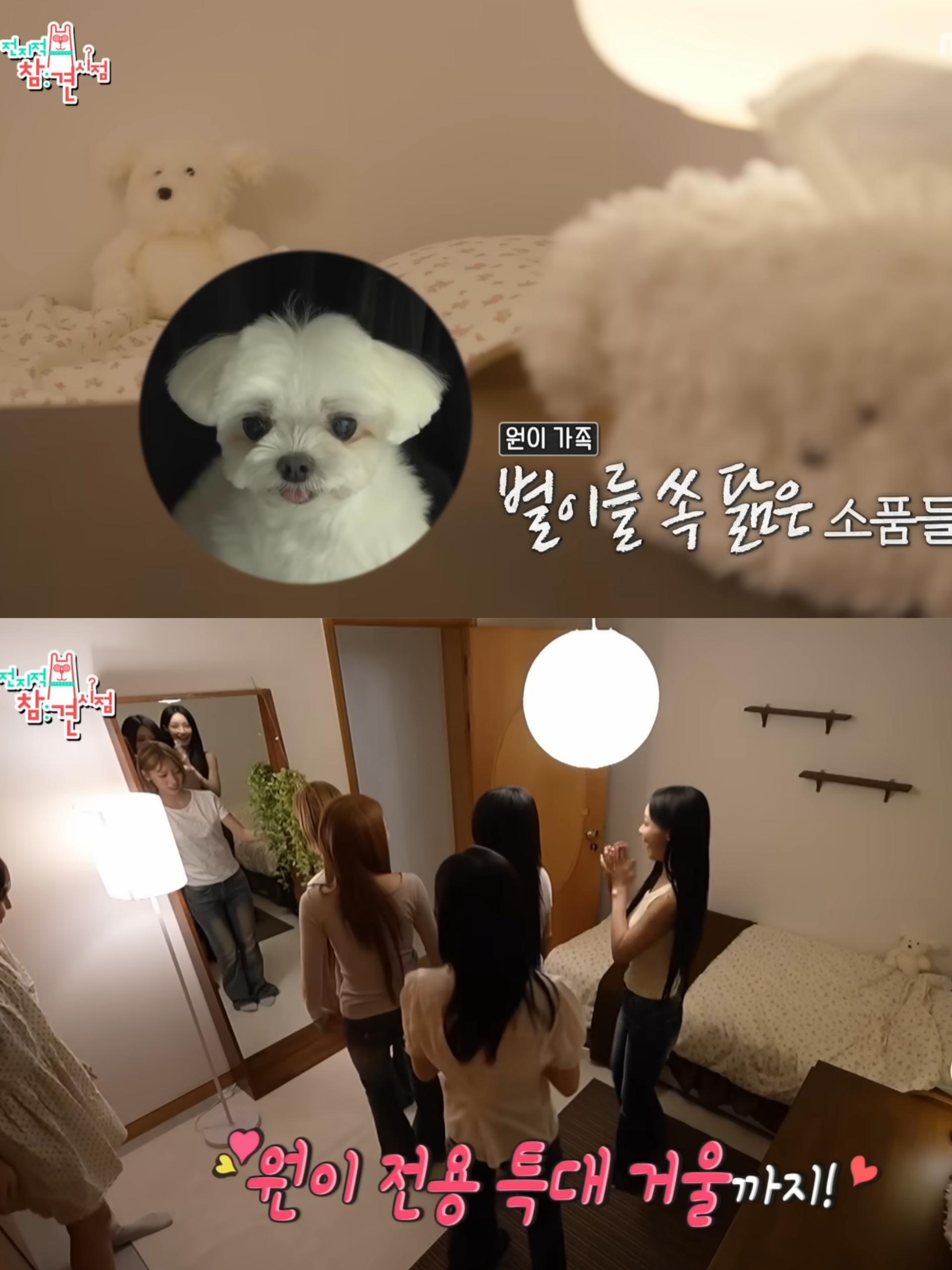 전지적 참견 시점 · 리센느편