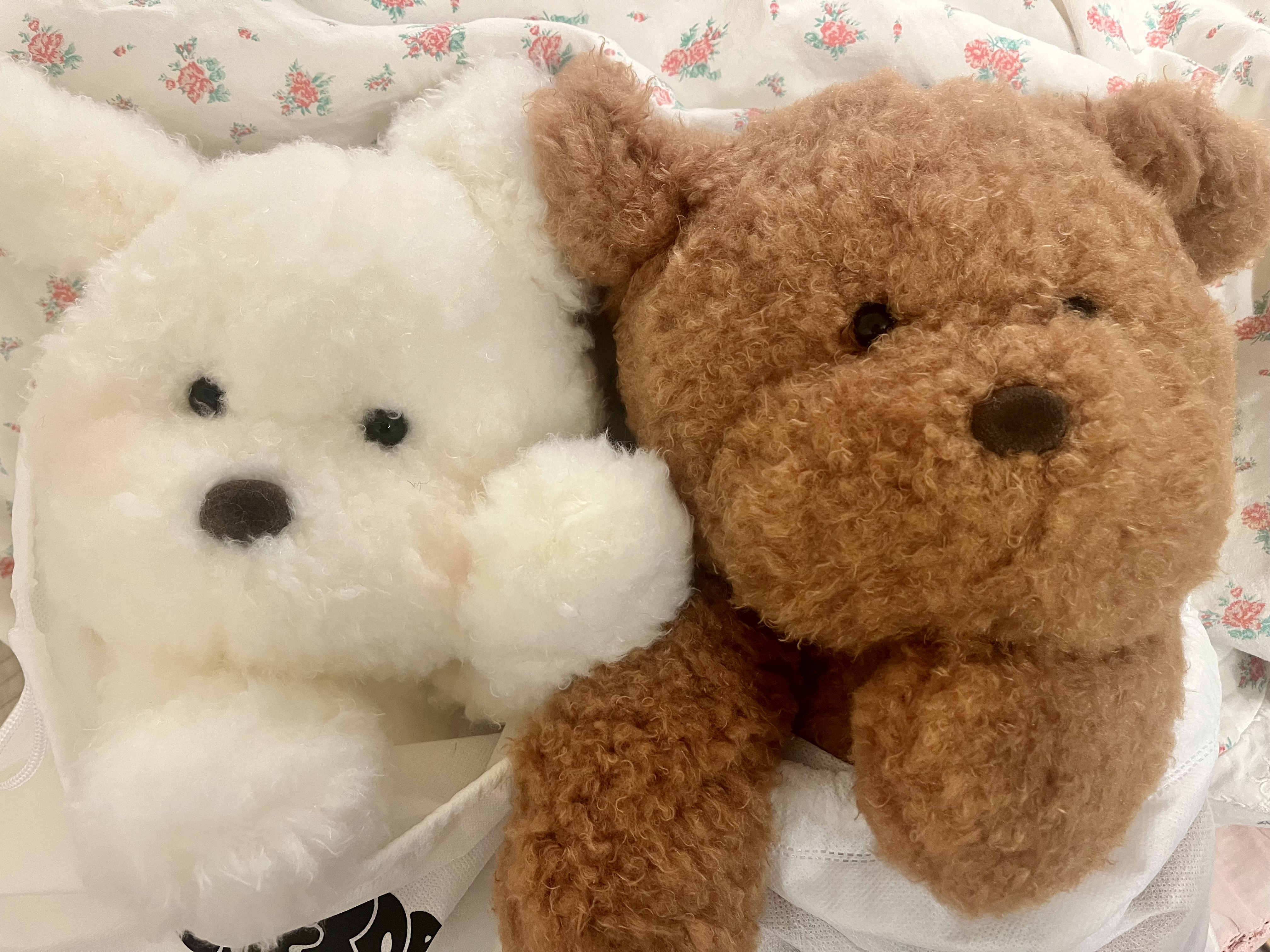 MONG MO (S/M/L/XL) : cherop mongmo