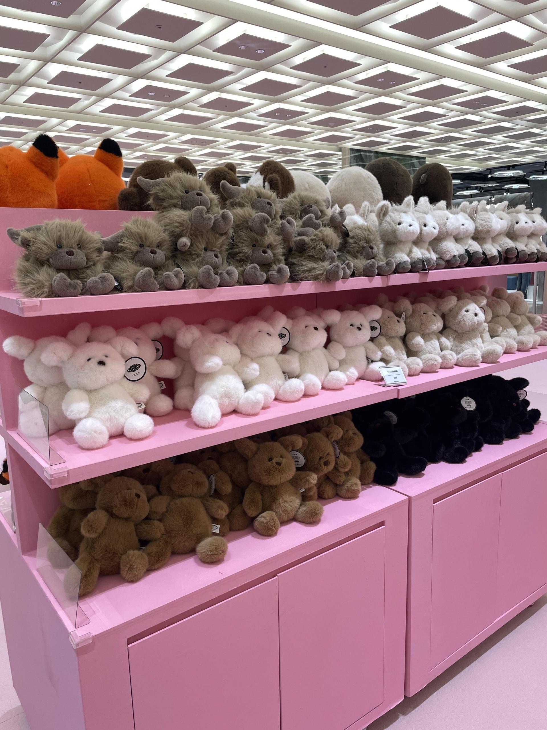 몽모월드