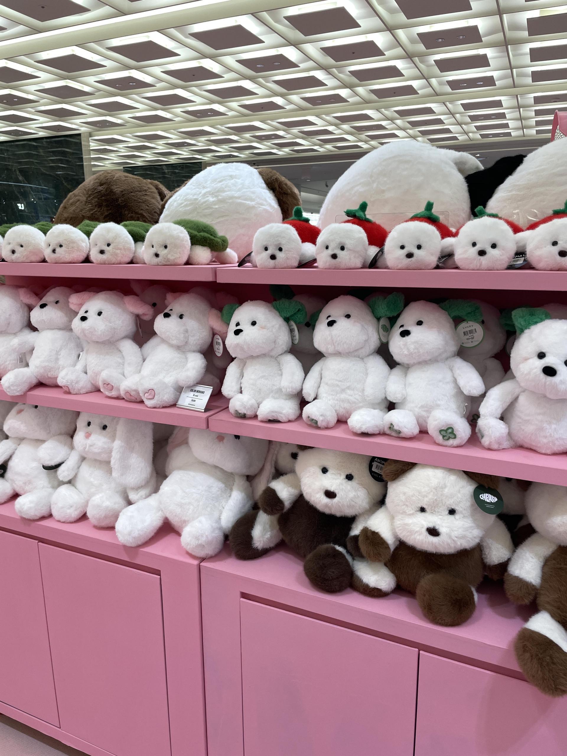 몽모월드