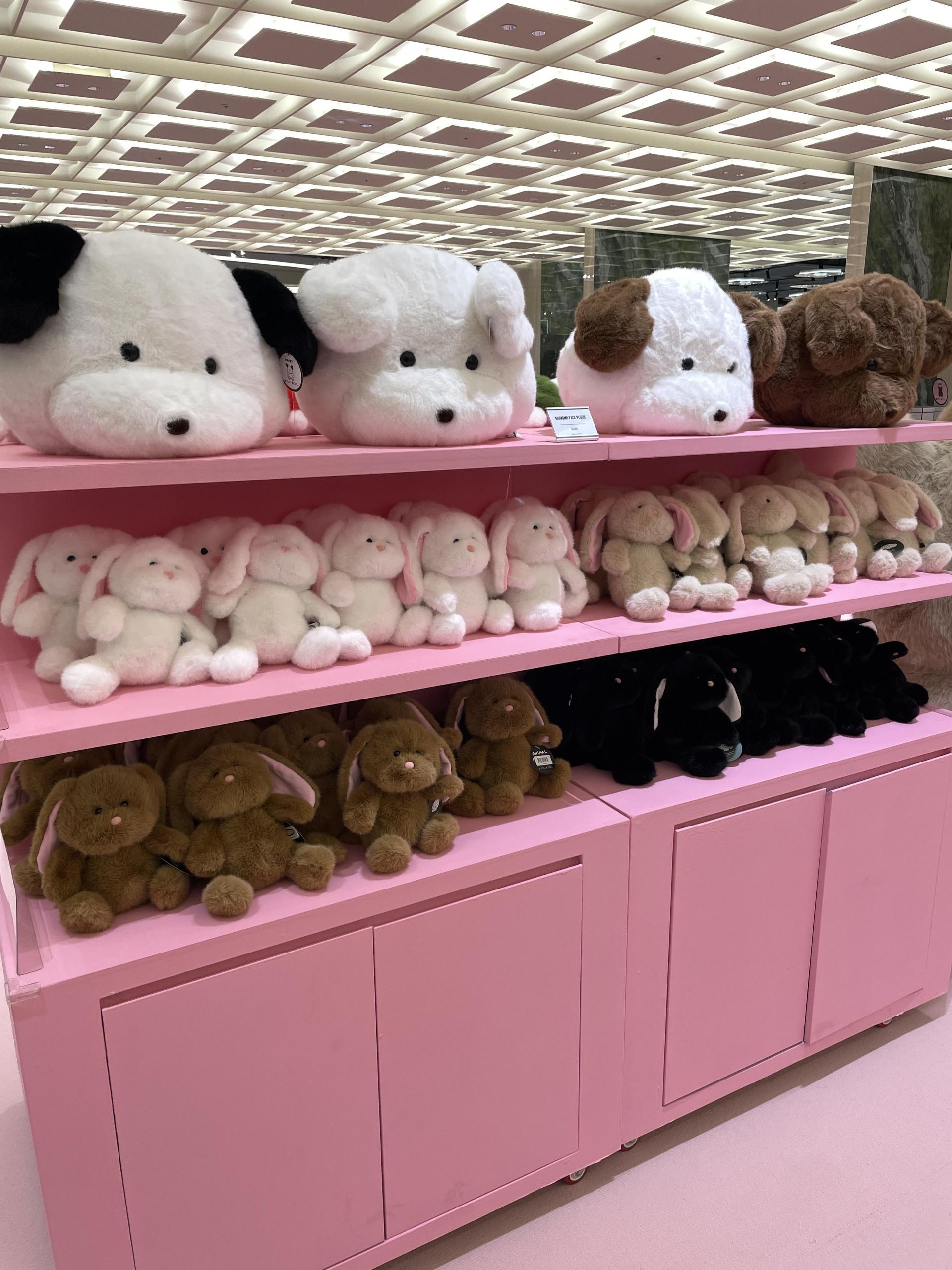 몽모월드